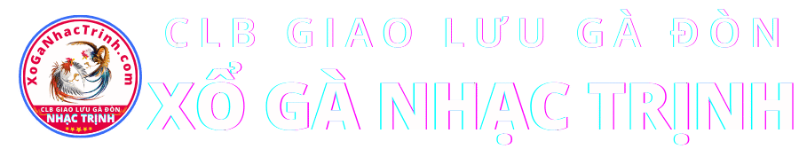 Xổ Gà Nhạc Trịnh